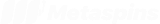 Metaspins